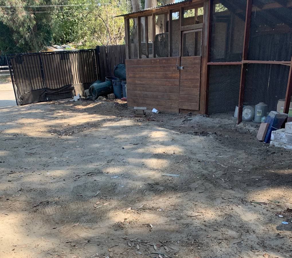 after picture of a backyard with no junk